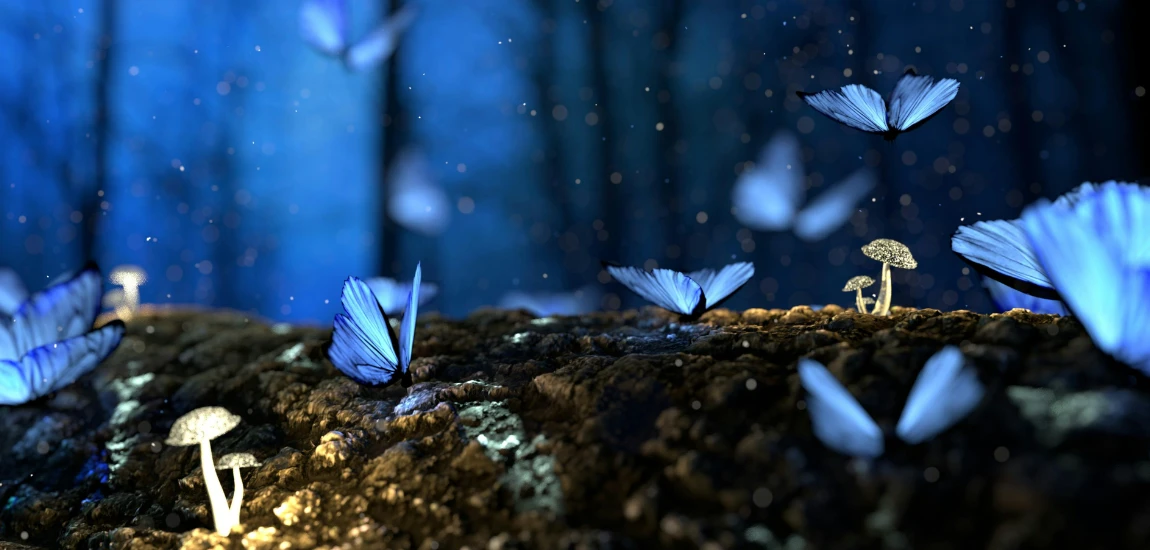 consectetur adipiscing elit