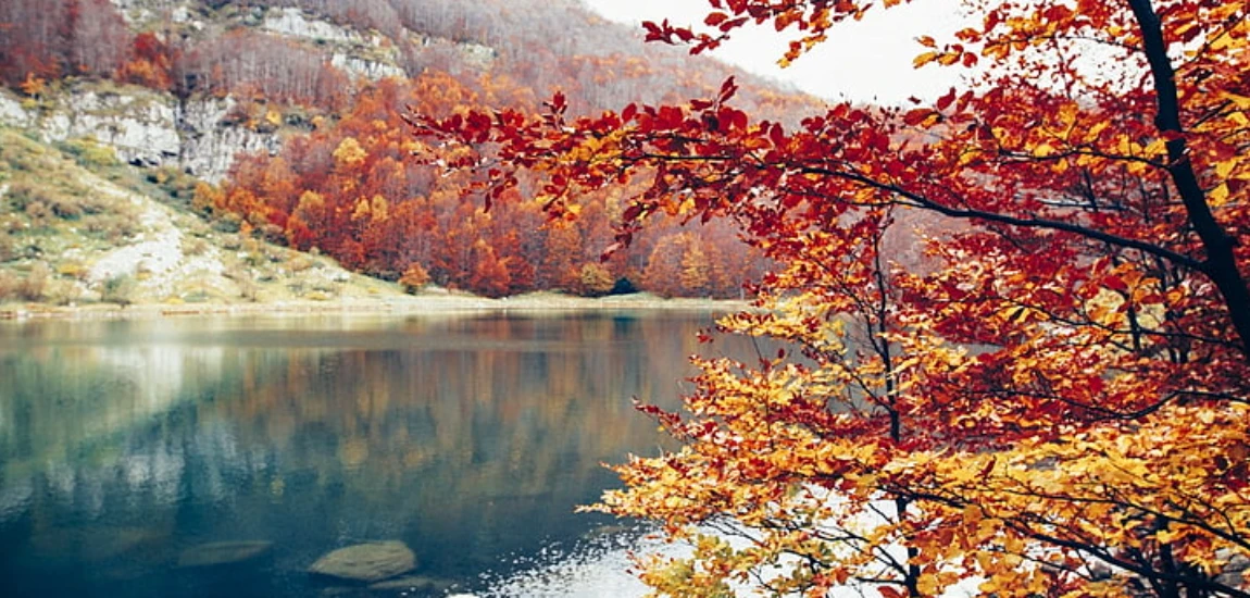 Discovering the Natural Beauty of the Maldives