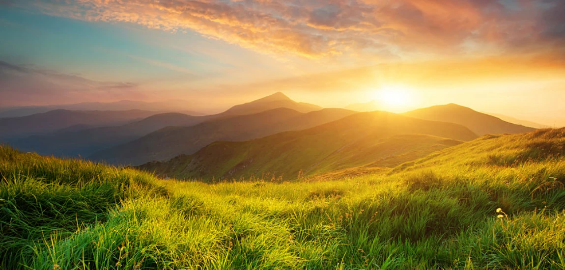 In id cursus mi pretium tellus