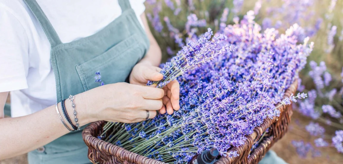 Travel tips for an unforgettable adventure.