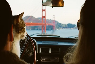 Travle Lorem Ipsum Dolor Sit Amet: A Placeholder Blog Post