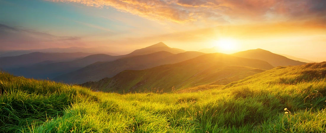 A Guide for Budget Travel With Pets