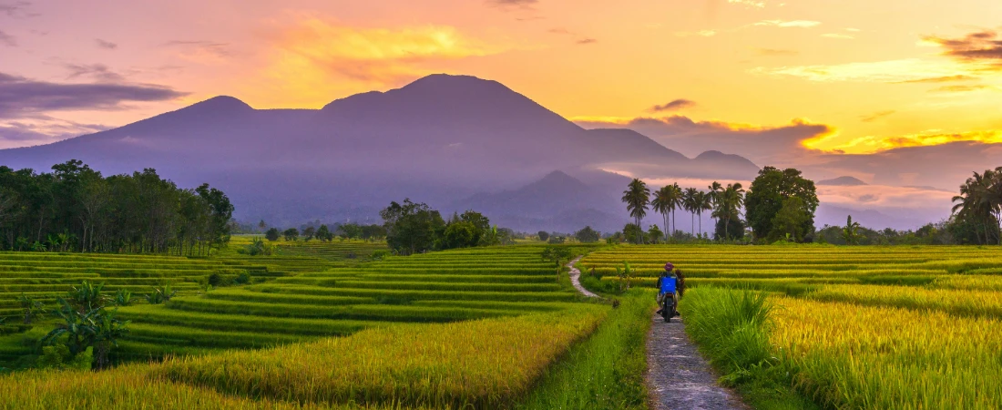 A Guide for Budget Travel With Pets